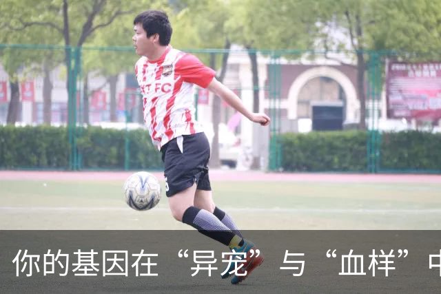 你的基因在“异宠”与“血样”中迷路了